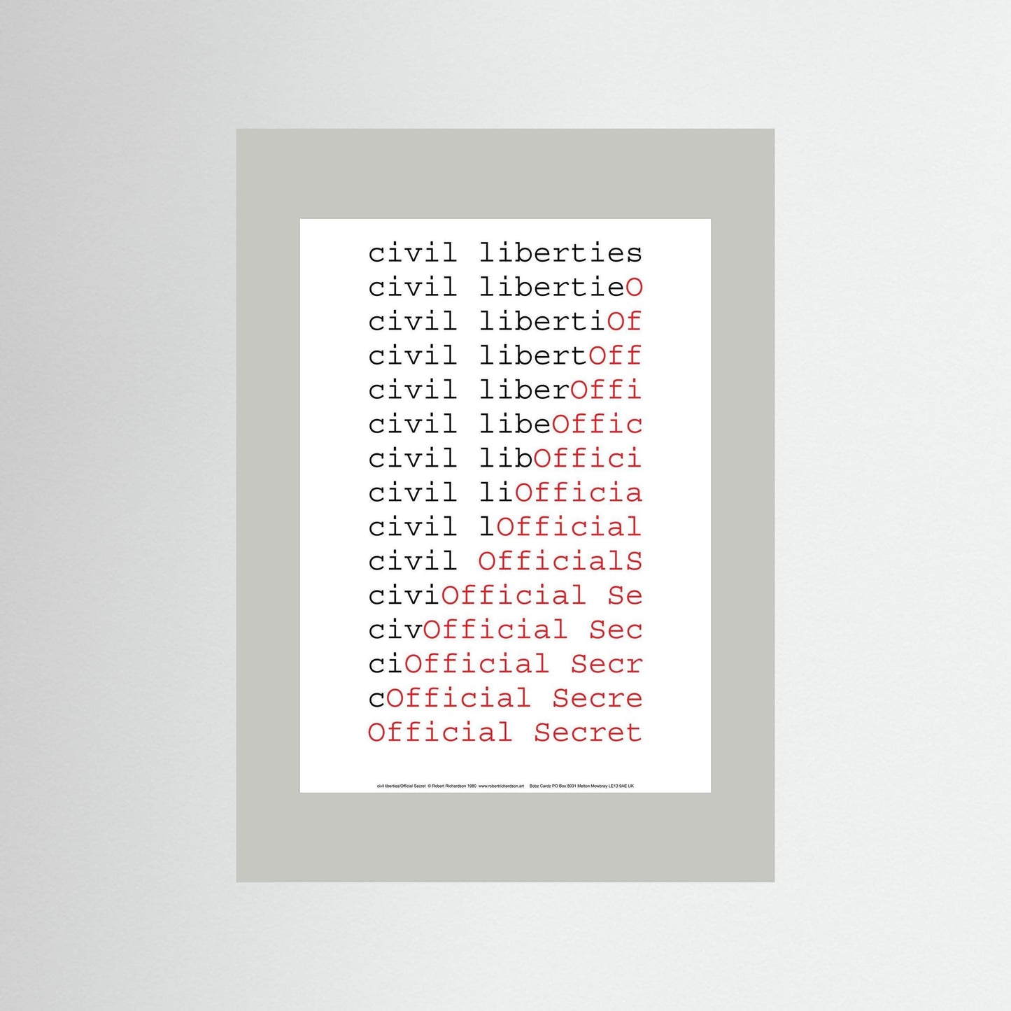 civil liberties/Official Secret