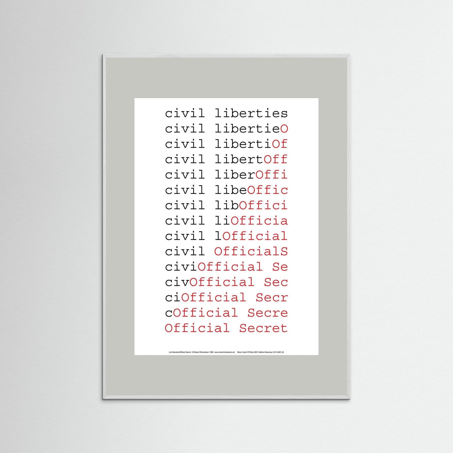 civil liberties/Official Secret