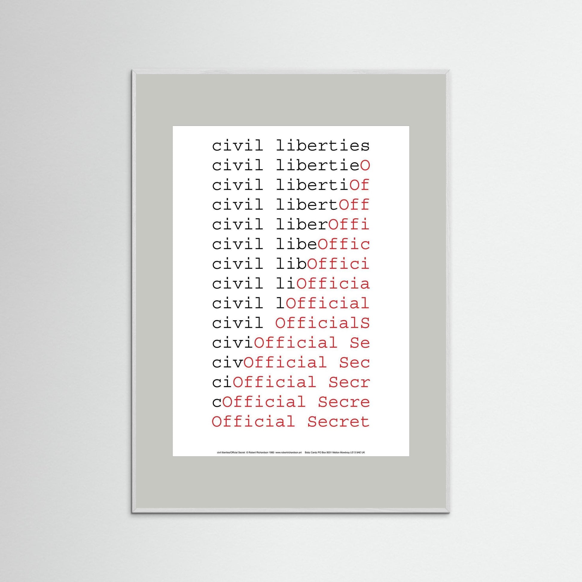 civil liberties/Official Secret