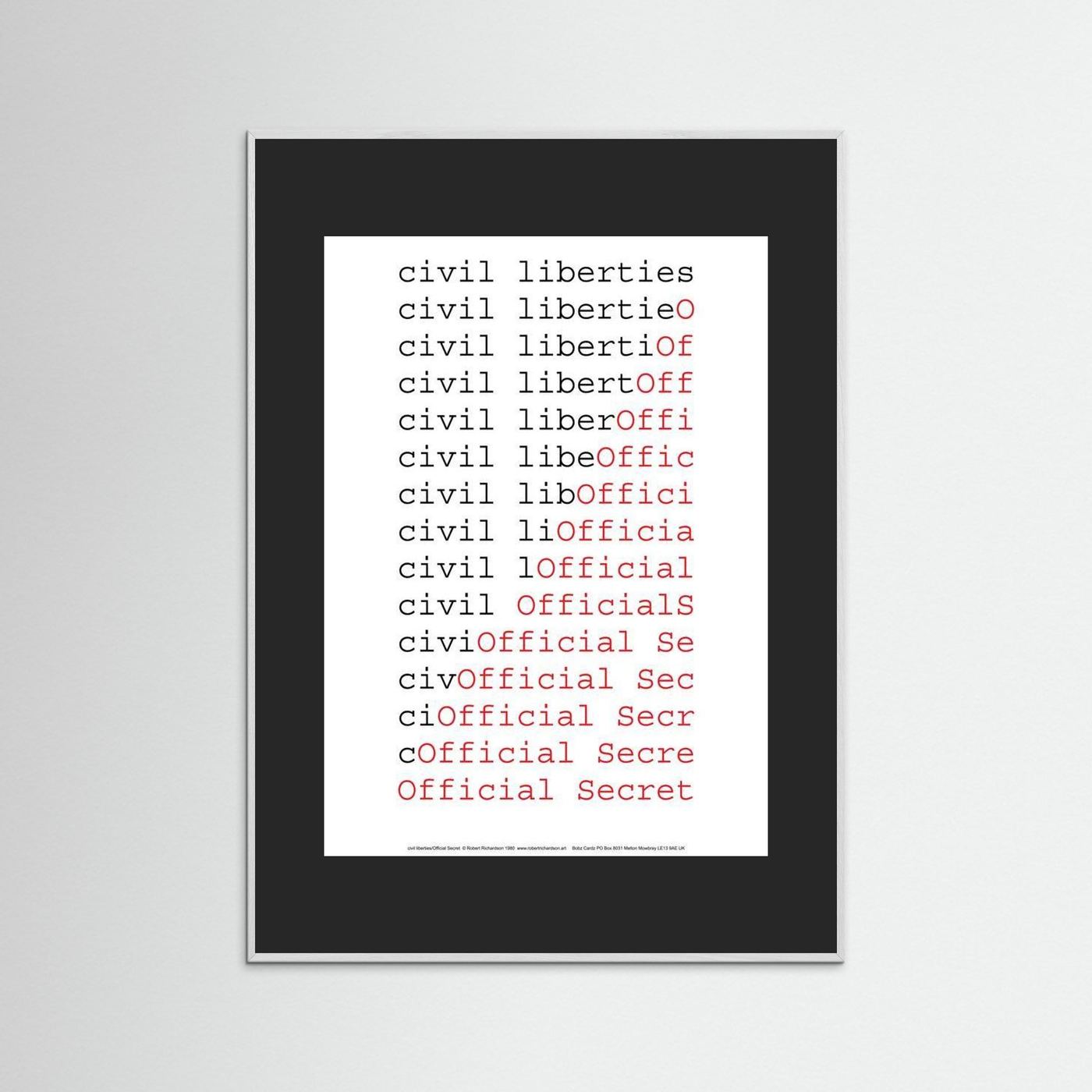 civil liberties/Official Secret