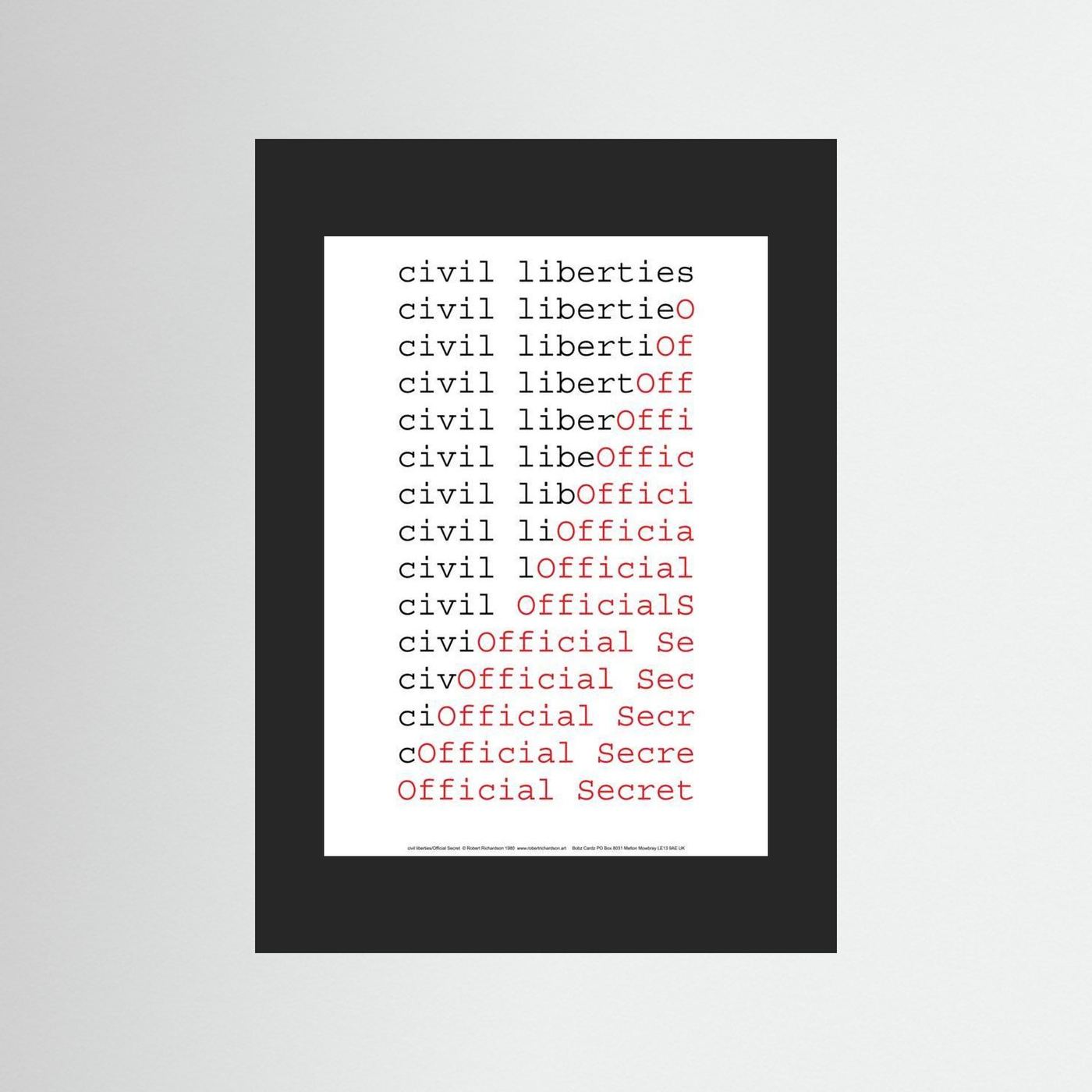 civil liberties/Official Secret