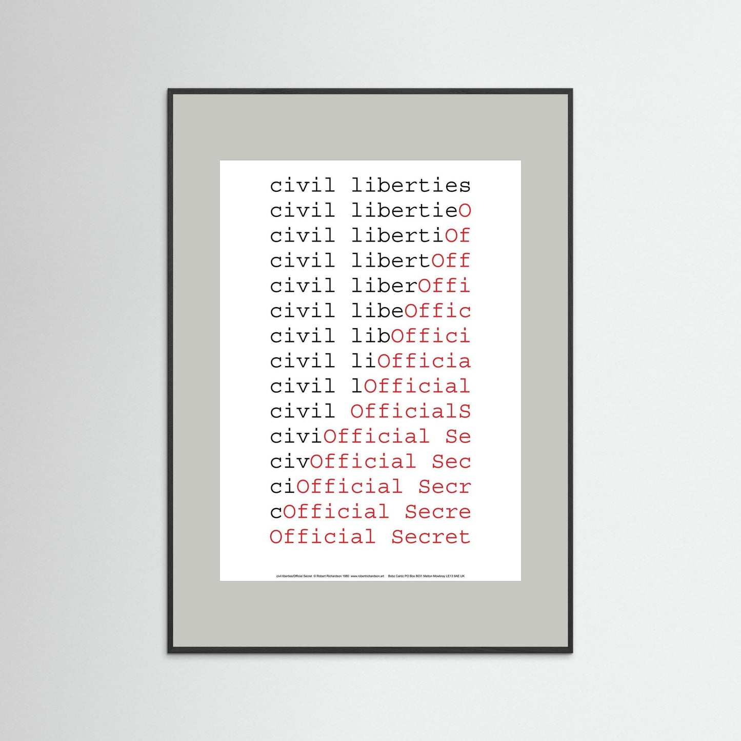 civil liberties/Official Secret