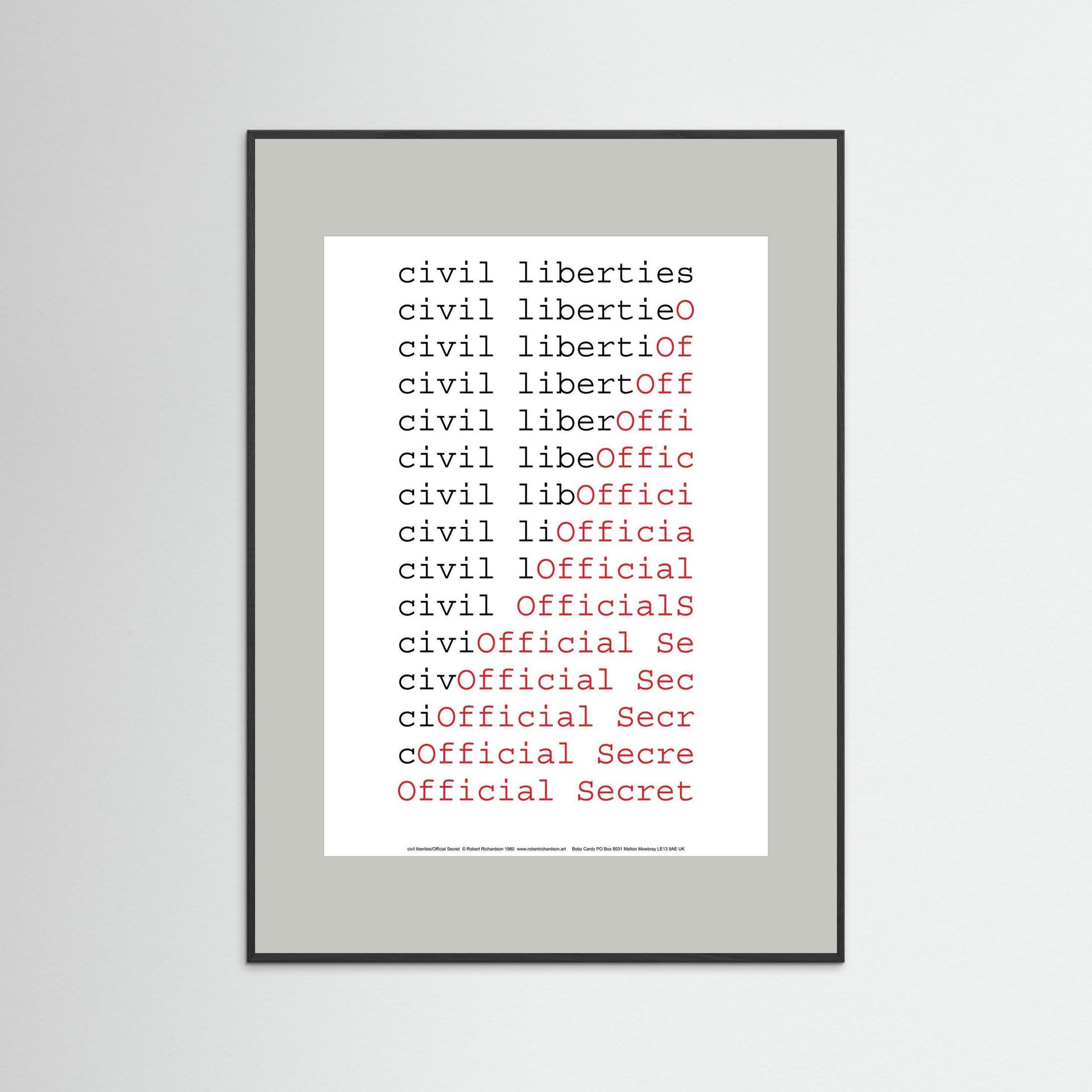 civil liberties/Official Secret